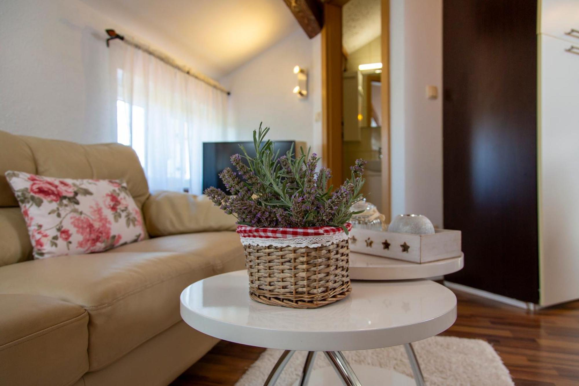 Apartman Viki Stinjan 普拉 外观 照片